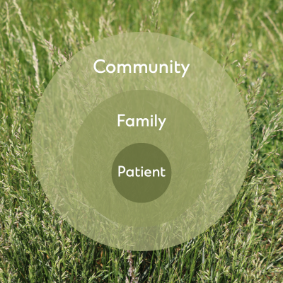 A graphic with three circles of varying shades of green inside each other. The centre circle, which is the darkest shade of green, says "patient," the middle circle, which is slightly lighter, says "family" and the largest, outside circle, which is the lightest, says "community."